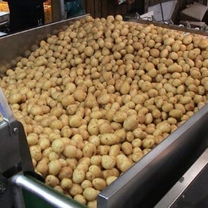 Evenflow hopper for potatoes