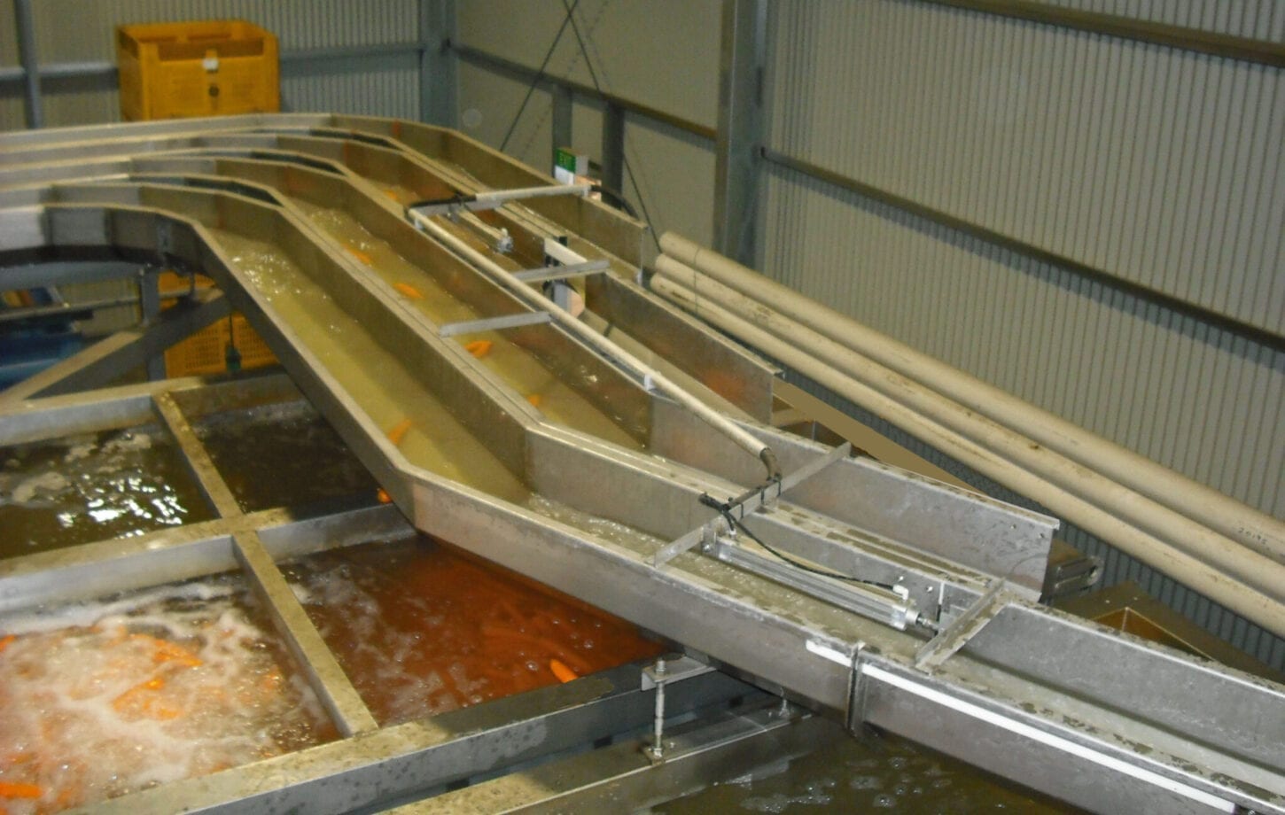 Flume Conveying