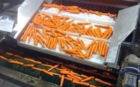 Ivankovich hydrocooler carrots