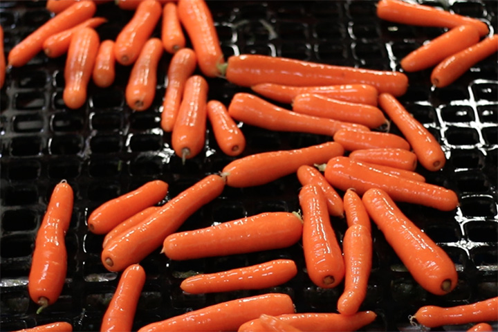 Ivankovich Farms meet shelf-life and quality requirements for carrot export markets